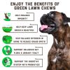 Green Lawn Chews for Dogs Cranberry ACV Digestive Enzymes Natural Dog Urine Neutralizer for Lawn Supports Healthy Bladder Urinary Tract 180 Tasty Dog