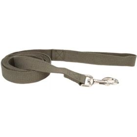 Coastal Pet New Earth Soy Dog Lead (Option: Forest Green)