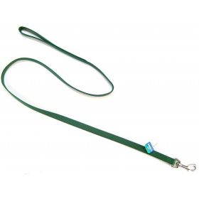 Coastal Pet Nylon Lead (Option: Hunter Green)